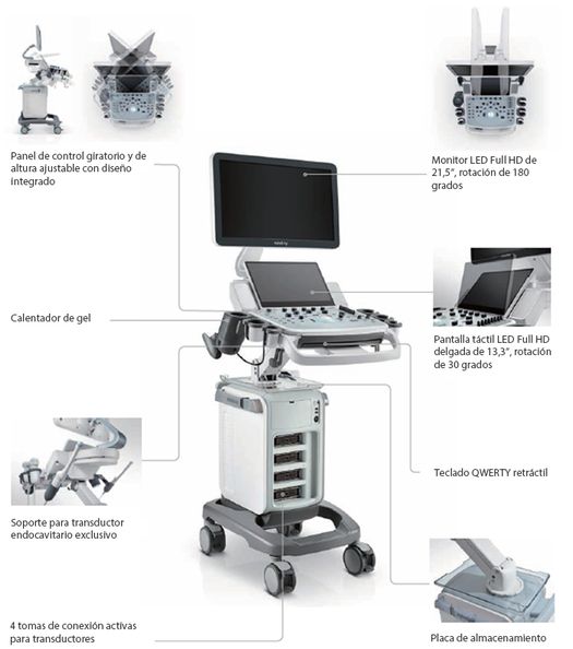 ergonomia